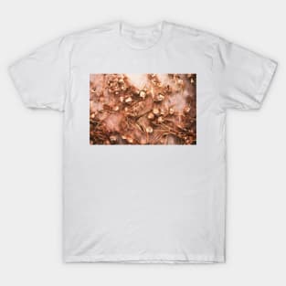 Scenic Wonder T-Shirt